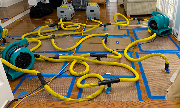 Professional Water Extraction technician working in Bensenville, IL